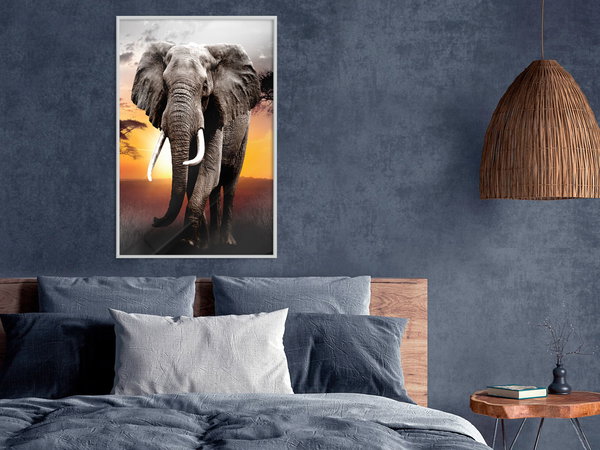 Poster 'Majestic Elephant'
