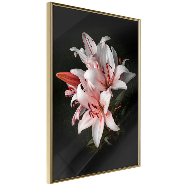 Poster 'Pale Pink Lilies'