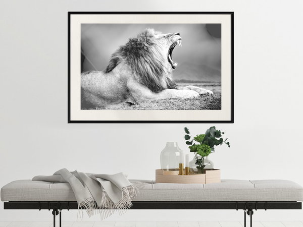 Poster 'Yawning Lion'