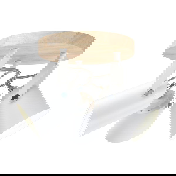 Stropné svietidlo 'Dera 1'