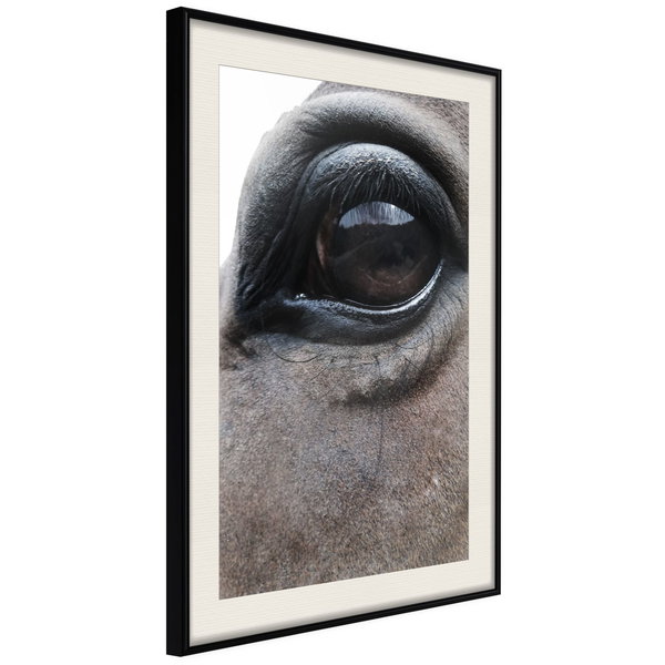 Poster 'Honest Eyes'