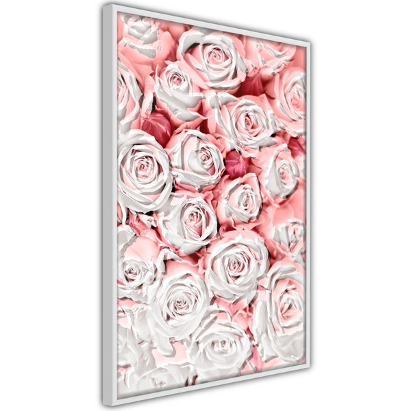 Poster 'White Rosaes'