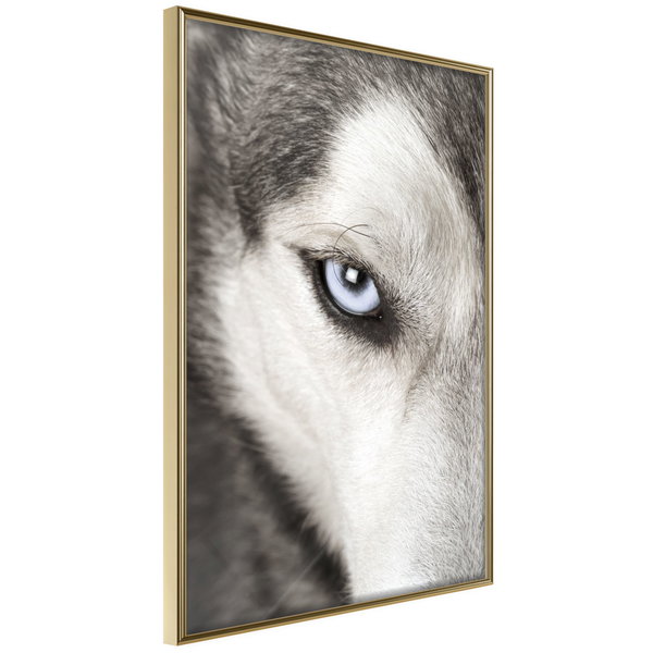 Poster 'Azure Eye'