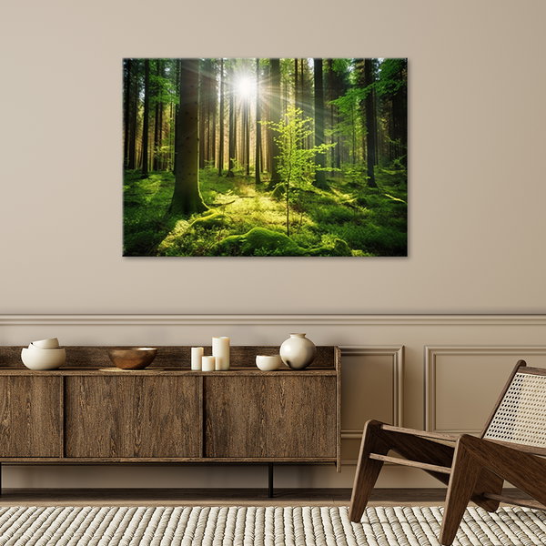 Kunstdruck auf Leinwand 'Green Forest Sunlight 1'