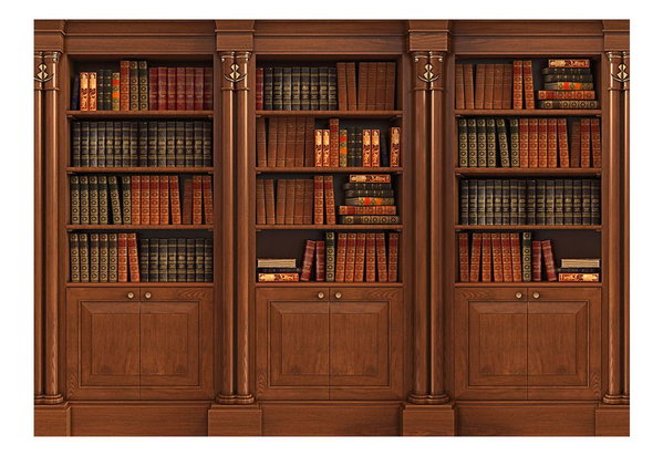 Papel pintado autoadhesivo 'Elegant Library'