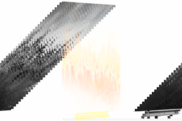 Een uniek exemplaar voor je interieur