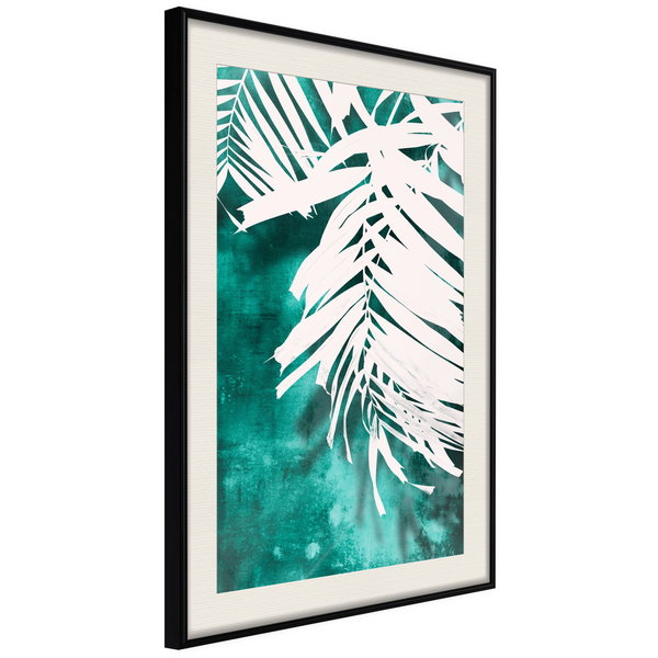 Poster 'White Palm on Teal Background'
