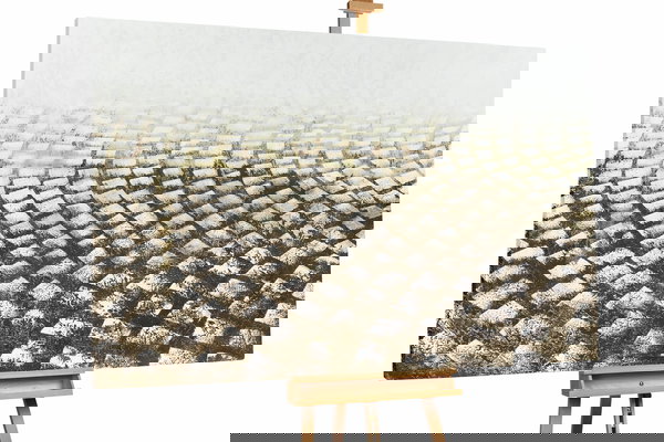 Een uniek exemplaar voor je interieur