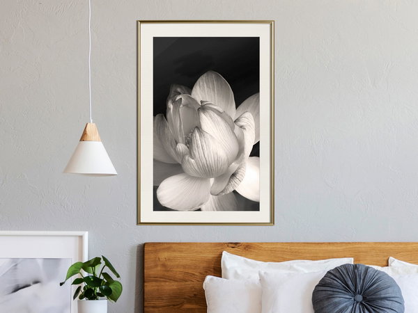 Poster 'Delicacy of a Flower'