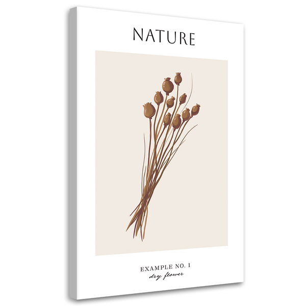 Impression sur toile 'Dry Flower'