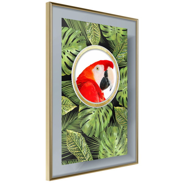Poster 'Parrot In The Jungle'