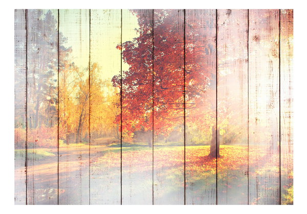 Selbstklebende Tapete 'Autumn Sun'