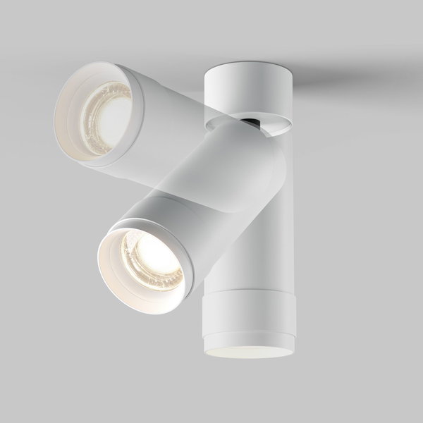Plafondverlichting 'Focus Zoom 4'