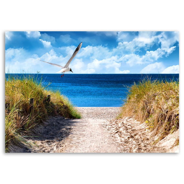 Kunstdruck auf Leinwand 'Gull Flight'