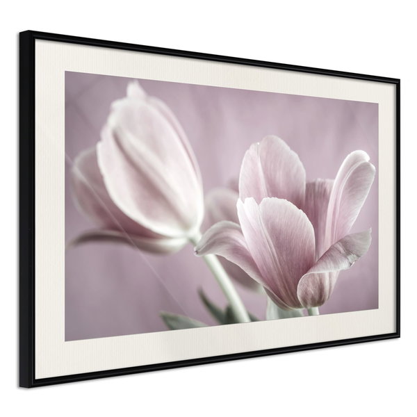 Poster 'Pastel Tulips I'