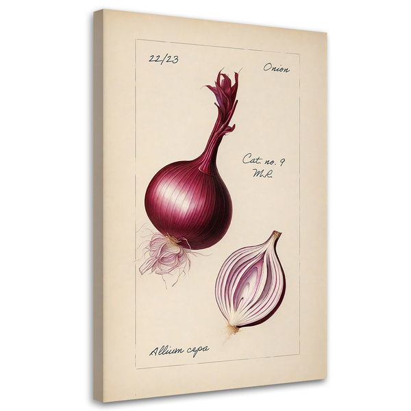 Kunstdruck auf Leinwand 'Onion'