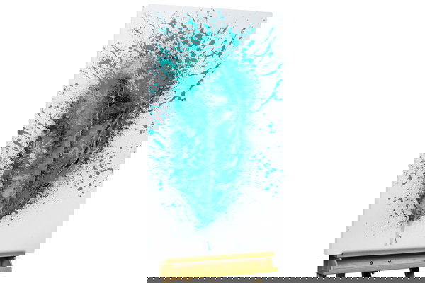 Een uniek exemplaar voor je interieur