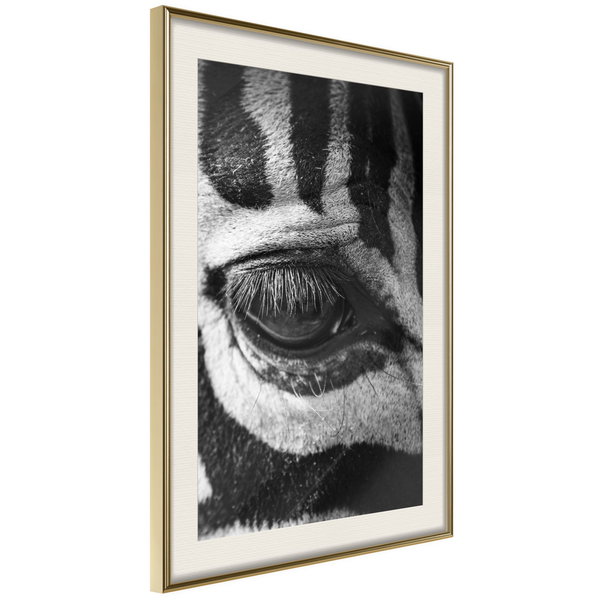 Poster 'Zebra Is Watching You'