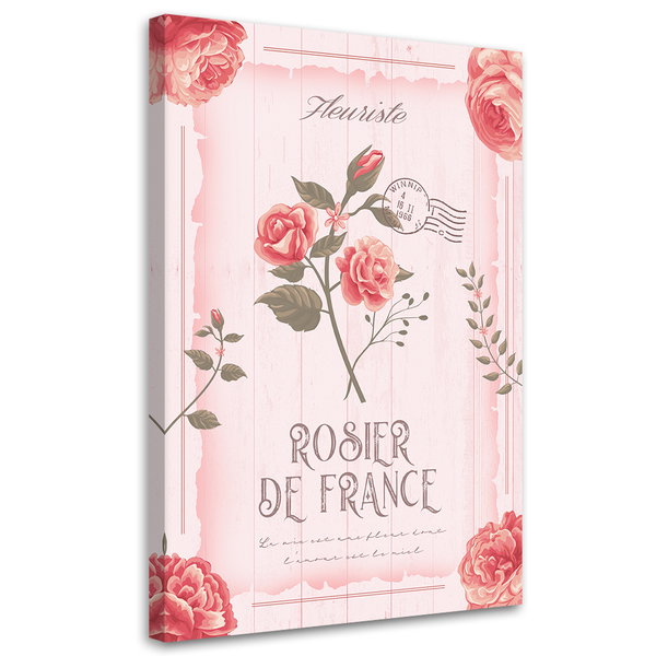 Kunstdruck auf Leinwand 'Rosier de France'