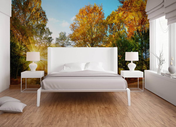 Tapete 'Autumn Forest 1' 400x267cm