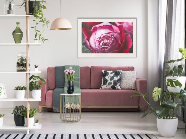 Aφίσα τοίχου 'Blooming Rosae'