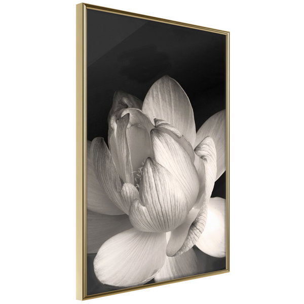 Poster 'Delicacy of a Flower'