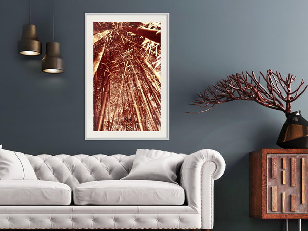 Poster 'Asian Forest'