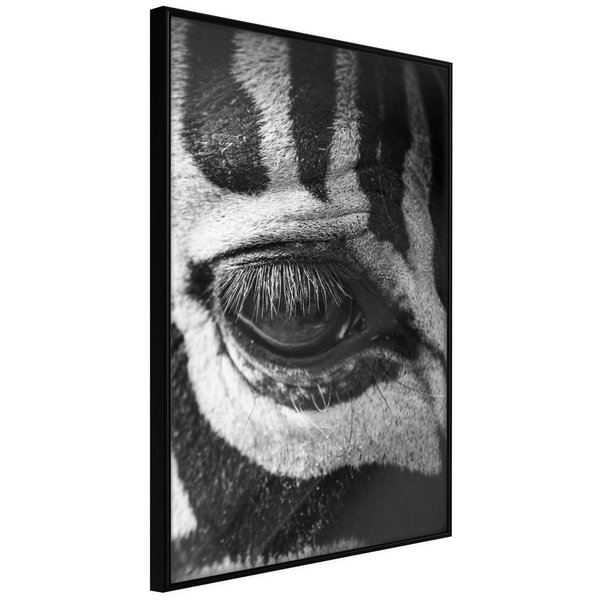 Poster 'Zebra Is Watching You'