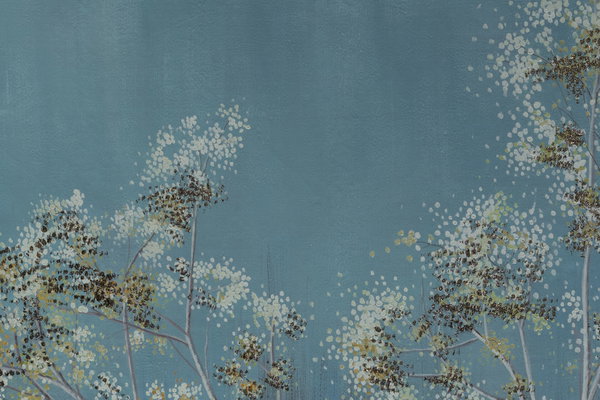 Expressieve accenten