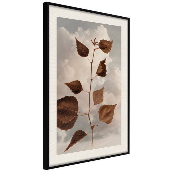 Póster 'Leaves in the Clouds'