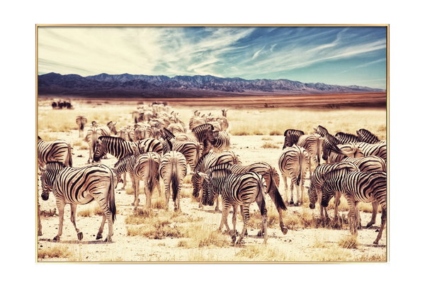 Artistieke momentopname