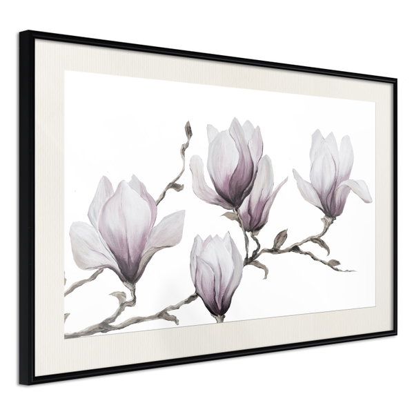 Poster 'Painted Magnolias'