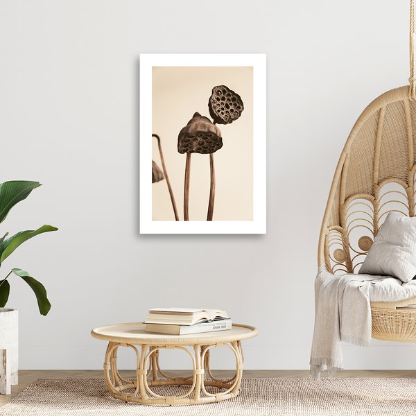 Kunstdruck auf Leinwand 'Sepia Toned Dried Lotus Pods'