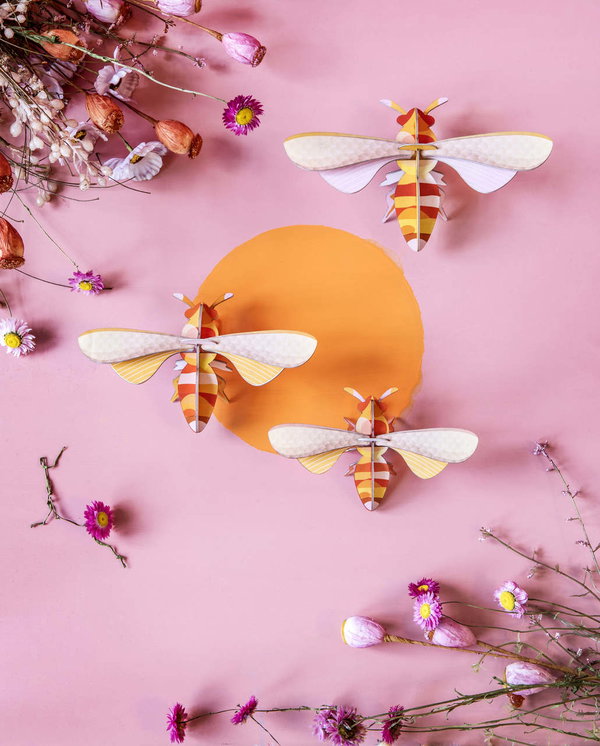 Scultura da parete in cartone 'Striped Bee Display'