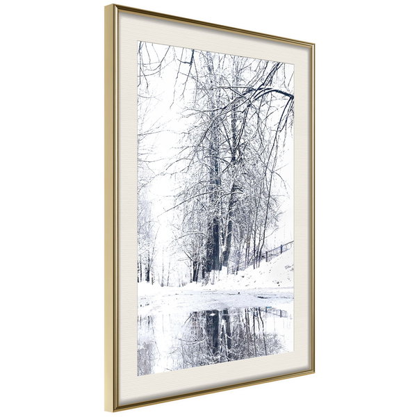 Poster 'Snowy Park'