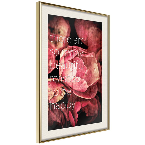 Poster 'Many Reasons to Be Happy'