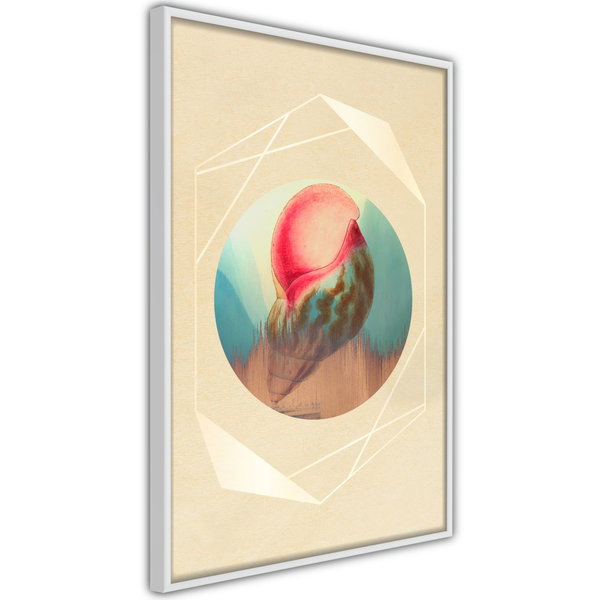 Poster 'Seashell'