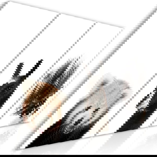 Art print on canvas 'Friendly Animals (Collection)'