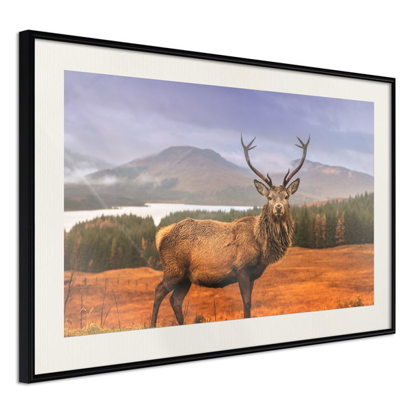 Poster 'Majestic Deer'