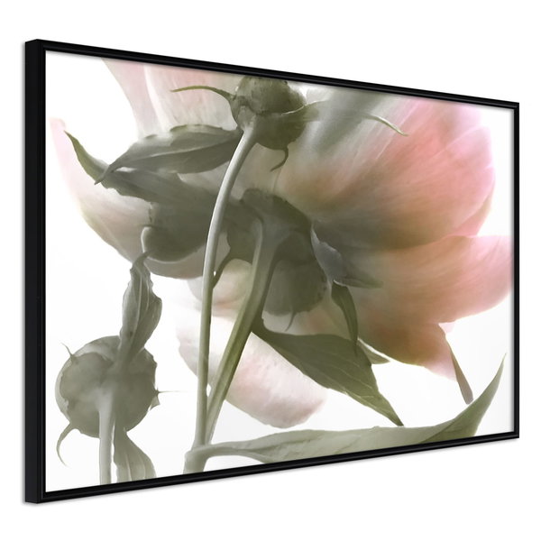 Plakat 'Under the Flower'