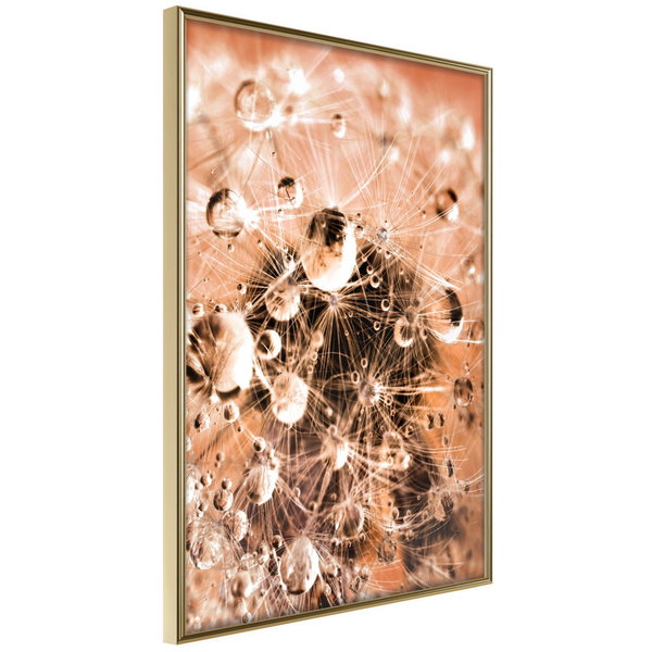 Poster 'Drops on Dandelion'