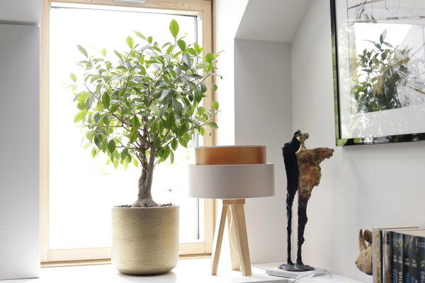 Lampe de table 'Duo Ellegant Jet 1'