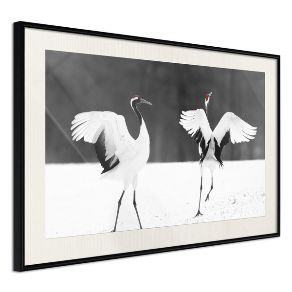 Poster 'Bird Date'
