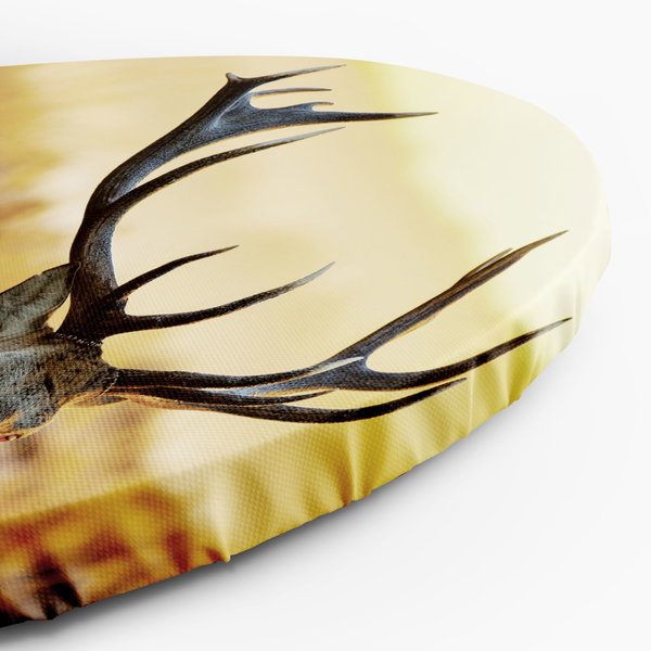 Rundes Bild 'Forest Glow'