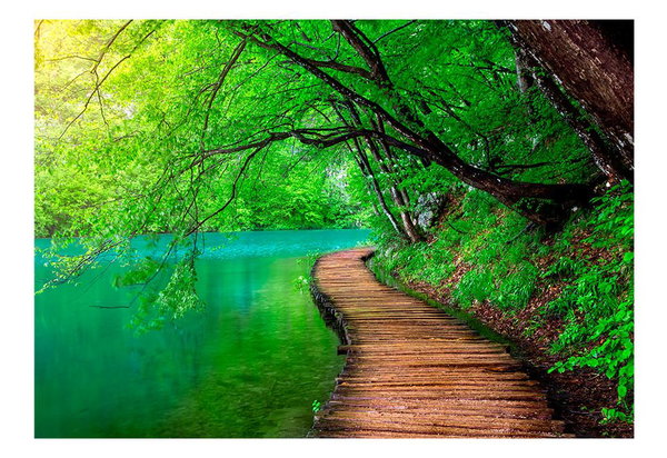 Tapete 'Green peace'