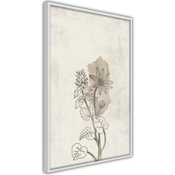 Poster 'Life of Plants'