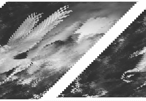 Papel de parede 'Majestic Flying Horse'