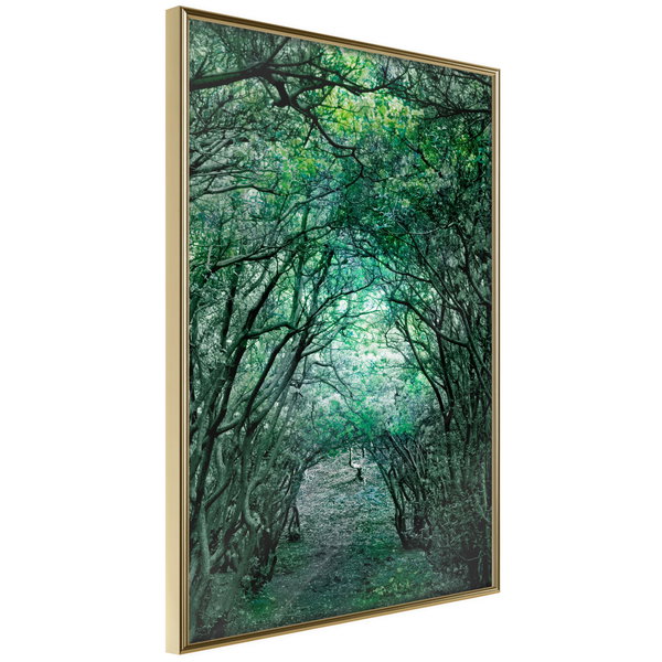 Poster 'Tree Tunnel'