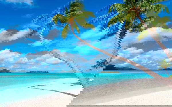 Behang 'Beach 2' 400x267cm