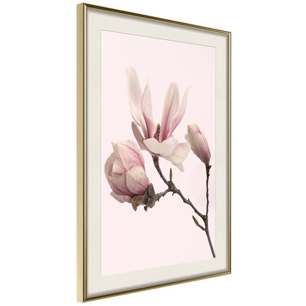 Poster 'Blooming Magnolias II'